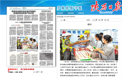 永信贵宾会西北集团珑樾府项目高温慰问——《陕西日报》